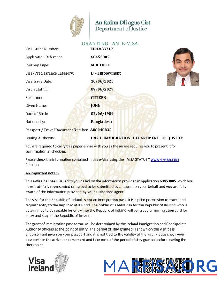 Realistic Ireland e visa template in Word and Pdf formats